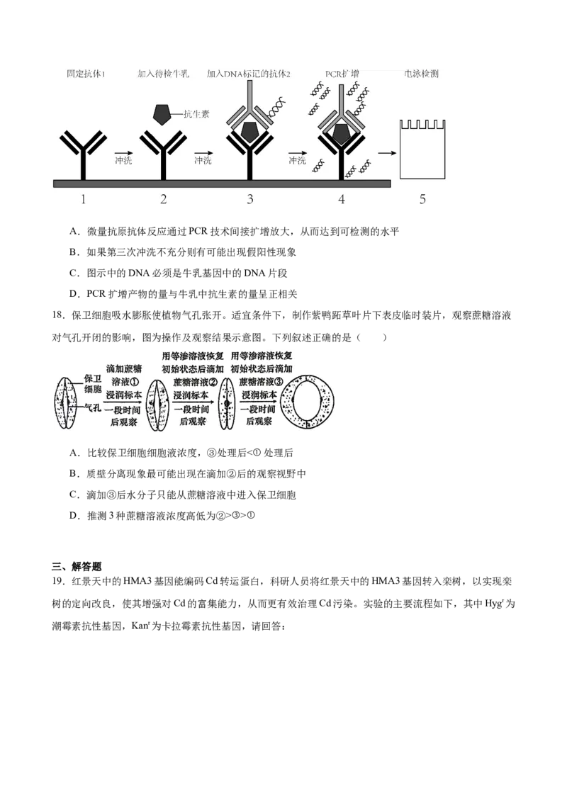 《江苏省南通市海安高级中学2025-2026学年高二下学期期中考试生物试卷(有答案)_2024-2027高二（7-7月题库）_2026年06月高二试卷》第5页预览