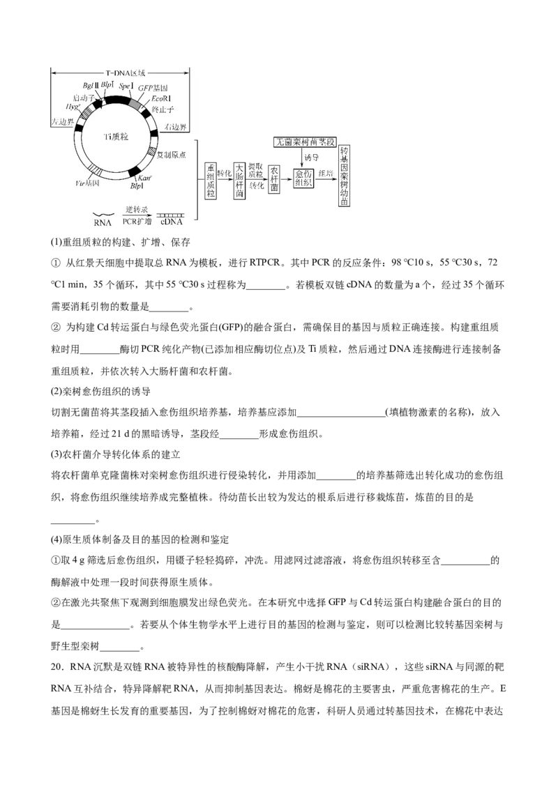 《江苏省南通市海安高级中学2025-2026学年高二下学期期中考试生物试卷(有答案)_2024-2027高二（7-7月题库）_2026年06月高二试卷》第6页预览