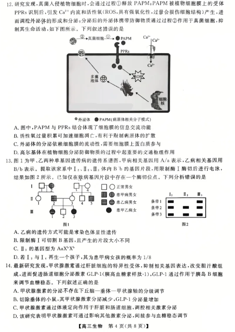 《生物试题_2024-2027高三（6-6月题库）_2026年05月高三试卷_260502山西2026届高三金科大联考（全科）_生物》第4页预览