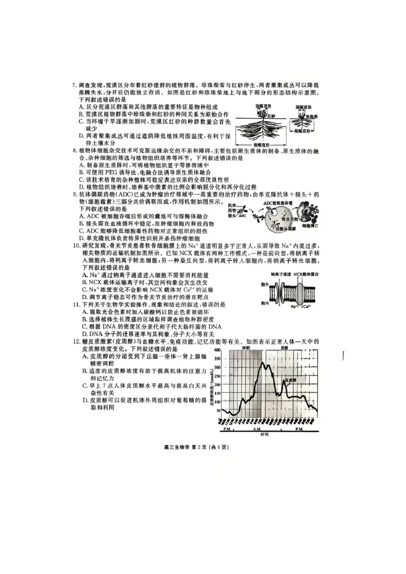 《生物试卷_2024-2027高三（6-6月题库）_2026年05月高三试卷_260513衡水金卷2026届高三下学期5月份学情调研》第2页预览