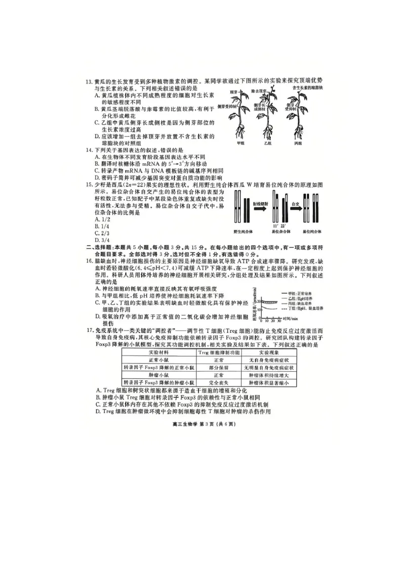 《生物试卷_2024-2027高三（6-6月题库）_2026年05月高三试卷_260513衡水金卷2026届高三下学期5月份学情调研》第3页预览
