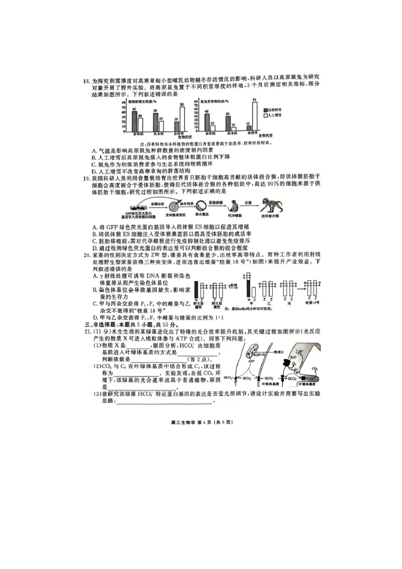 《生物试卷_2024-2027高三（6-6月题库）_2026年05月高三试卷_260513衡水金卷2026届高三下学期5月份学情调研》第4页预览