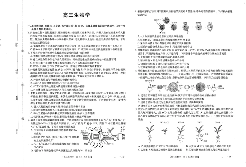 《江西省2026届高三下学期5月联考生物_2024-2027高三（6-6月题库）_2026年05月高三试卷_260513金太阳·湖南省、江西省2026届高三下学期5月联考（全科）》第1页预览