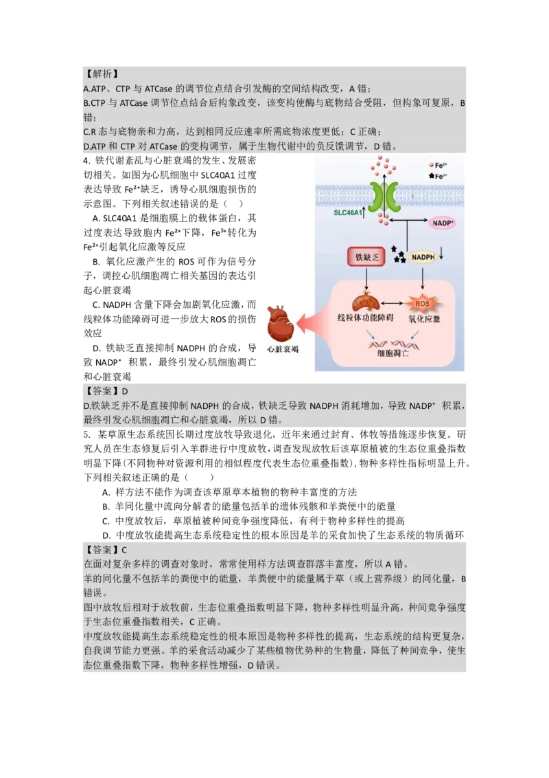 《最后一卷生物参考答案_2024-2027高三（6-6月题库）_2026年05月高三试卷_260525安徽省合肥市第八中学2026届高三最后一卷（全科）》第2页预览