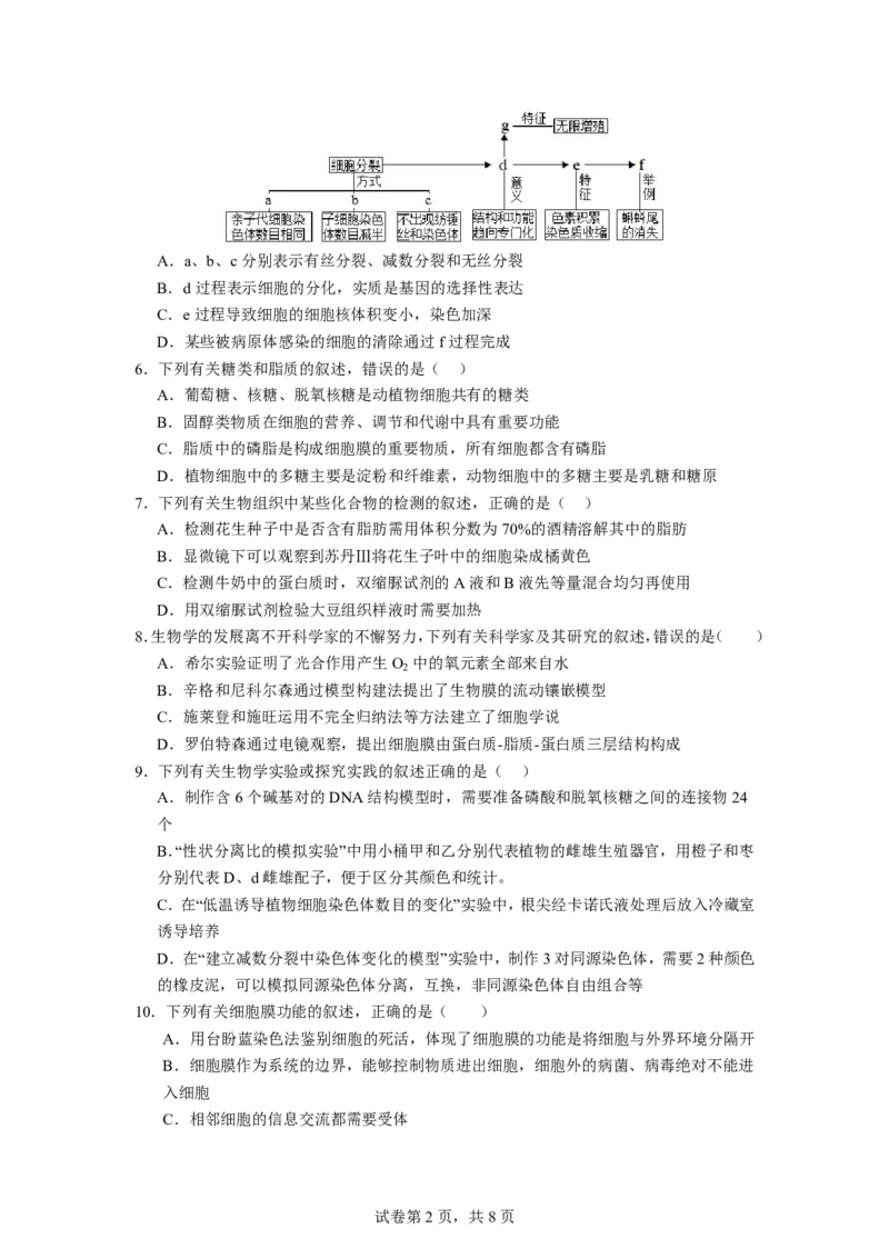 《生物试题_2024-2027高二（7-7月题库）_2026年06月高二试卷_260610宁夏回族自治区石嘴山市第一中学2025-2026学年高二年级下学期5月阶段检测》第2页预览