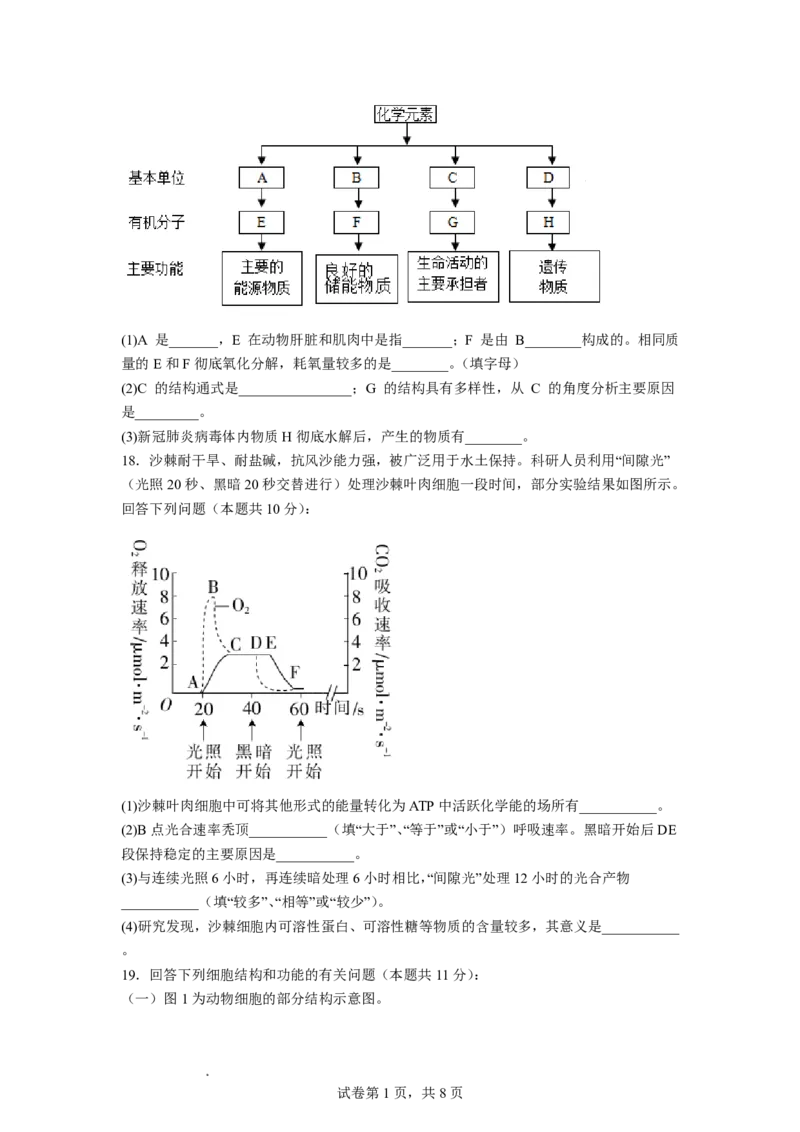 《生物试题_2024-2027高二（7-7月题库）_2026年06月高二试卷_260610宁夏回族自治区石嘴山市第一中学2025-2026学年高二年级下学期5月阶段检测》第5页预览