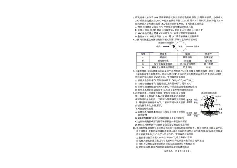 《生物试题卷-福建省厦门市2026届高中毕业班5月适应性练习_2024-2027高三(6-6月题库)_2026年05月高三试卷_260512福建省厦门市2026届高中毕业班5月适应性练习(全科)》第2页预览