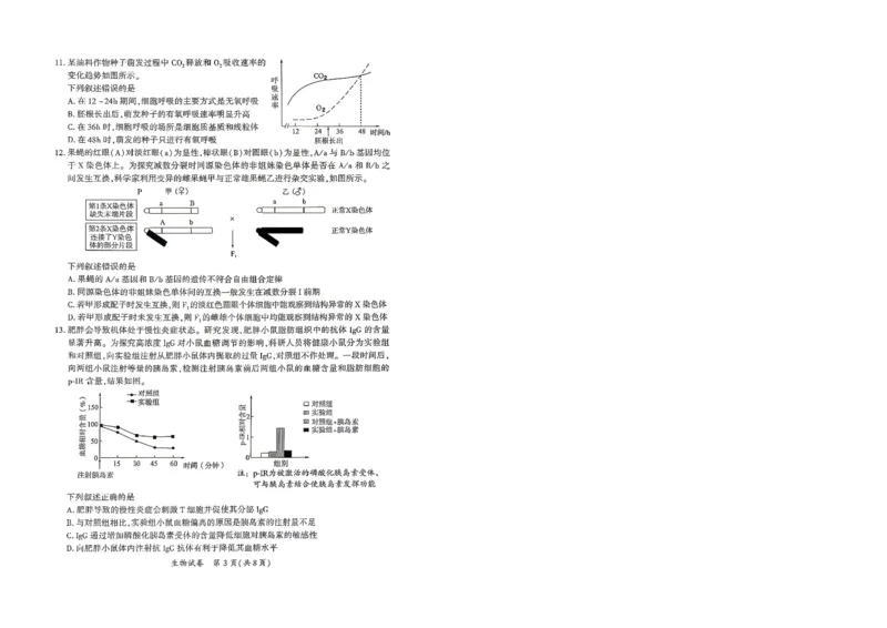 《生物试题卷-福建省厦门市2026届高中毕业班5月适应性练习_2024-2027高三(6-6月题库)_2026年05月高三试卷_260512福建省厦门市2026届高中毕业班5月适应性练习(全科)》第3页预览