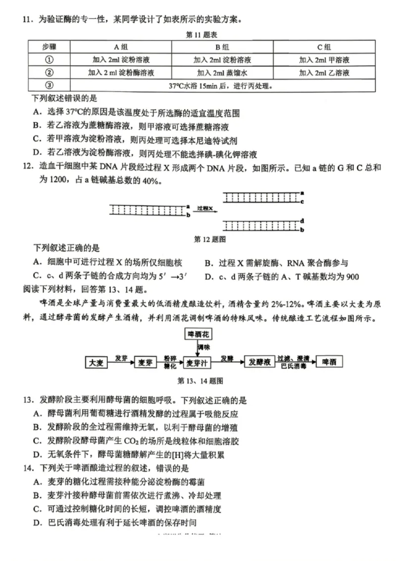 《生物试卷-2026届浙江省精诚联盟高三二模_2024-2027高三（6-6月题库）_2026年05月高三试卷_260516浙江精诚联盟2026届高三下学期第二次模拟练习（全科）》第3页预览