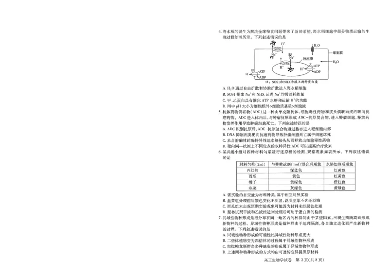 《湖北省武汉市2025届高中毕业生四月调研考试生物_12.2026年4月全国各地高考模拟卷_2026年4月_2025届湖北省武汉市高三四月调研考试全科_06生物_2025届湖北省武汉市高三四月调研考试》第2页预览