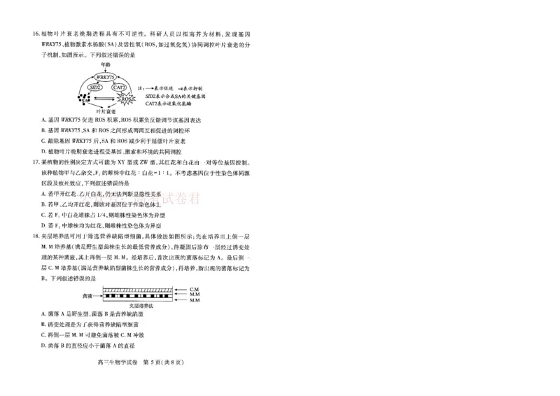 《湖北省武汉市2025届高中毕业生四月调研考试生物_12.2026年4月全国各地高考模拟卷_2026年4月_2025届湖北省武汉市高三四月调研考试全科_06生物_2025届湖北省武汉市高三四月调研考试》第5页预览