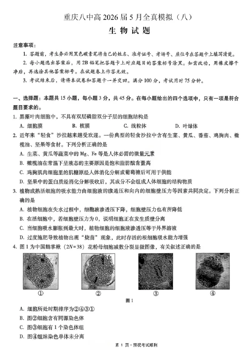 《生物试题卷_2024-2027高三（6-6月题库）_2026年05月高三试卷_260527重庆市重庆第八中学校高2026届高三年级5月全真模拟(八)（全科）》第1页预览