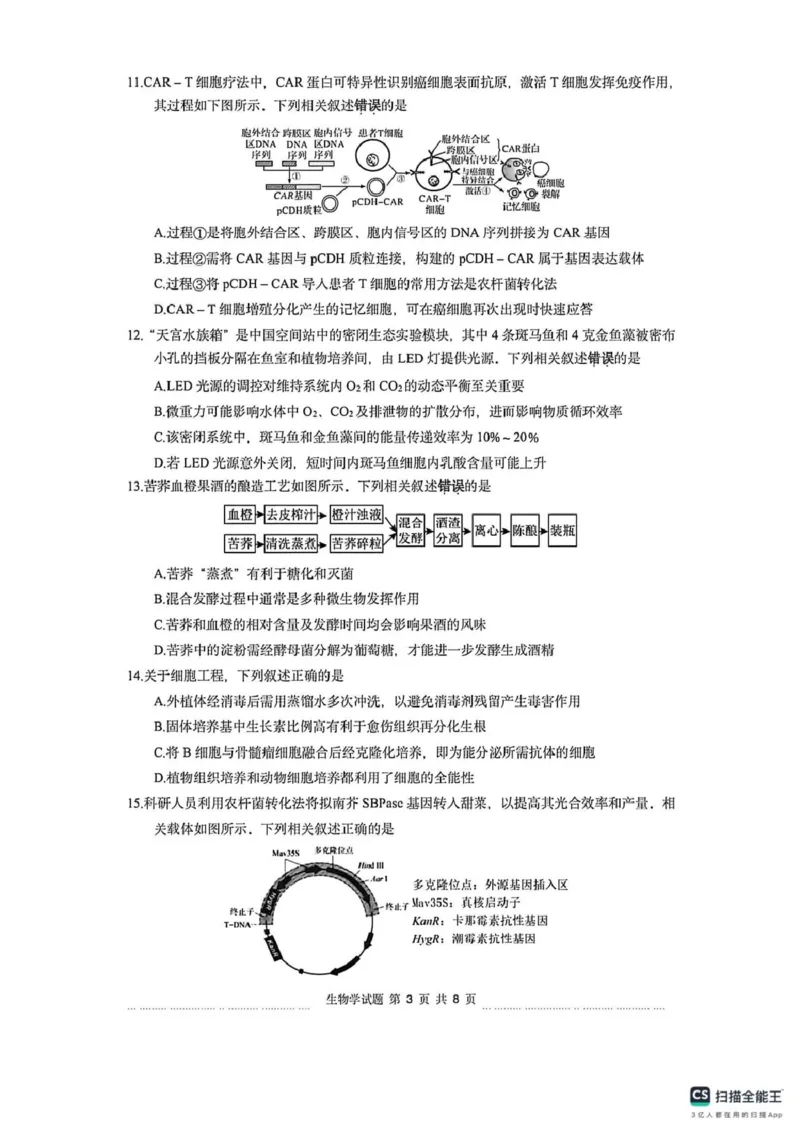 《江苏省徐州市2026届高三下学期打靶卷生物试题_2024-2027高三（6-6月题库）_2026年05月高三试卷_260524江苏省徐州市2026届高三下学期5月打靶卷（全科）》第3页预览