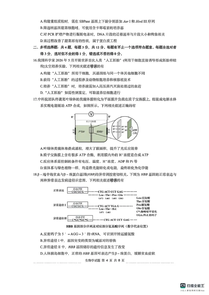 《江苏省徐州市2026届高三下学期打靶卷生物试题_2024-2027高三（6-6月题库）_2026年05月高三试卷_260524江苏省徐州市2026届高三下学期5月打靶卷（全科）》第4页预览