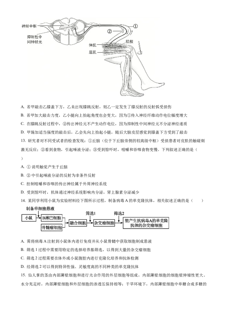 《浙江省北斗联盟2025学年第二学期期中联考高二年级生物学科试题（原卷版）_2024-2027高二（7-7月题库）_2026年05月高二试卷》第4页预览
