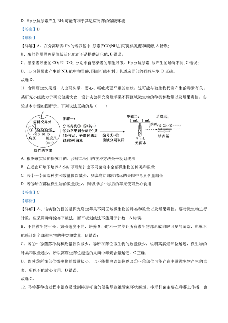 《湖北省襄阳市第四中学2025-2026学年高二下学期3月月考生物试题Word版含解析_2024-2027高二（7-7月题库）_2026年04月高二试卷_260421湖北省襄阳市第四中学2025-2026学年高二下学期3月阶段检测》第7页预览