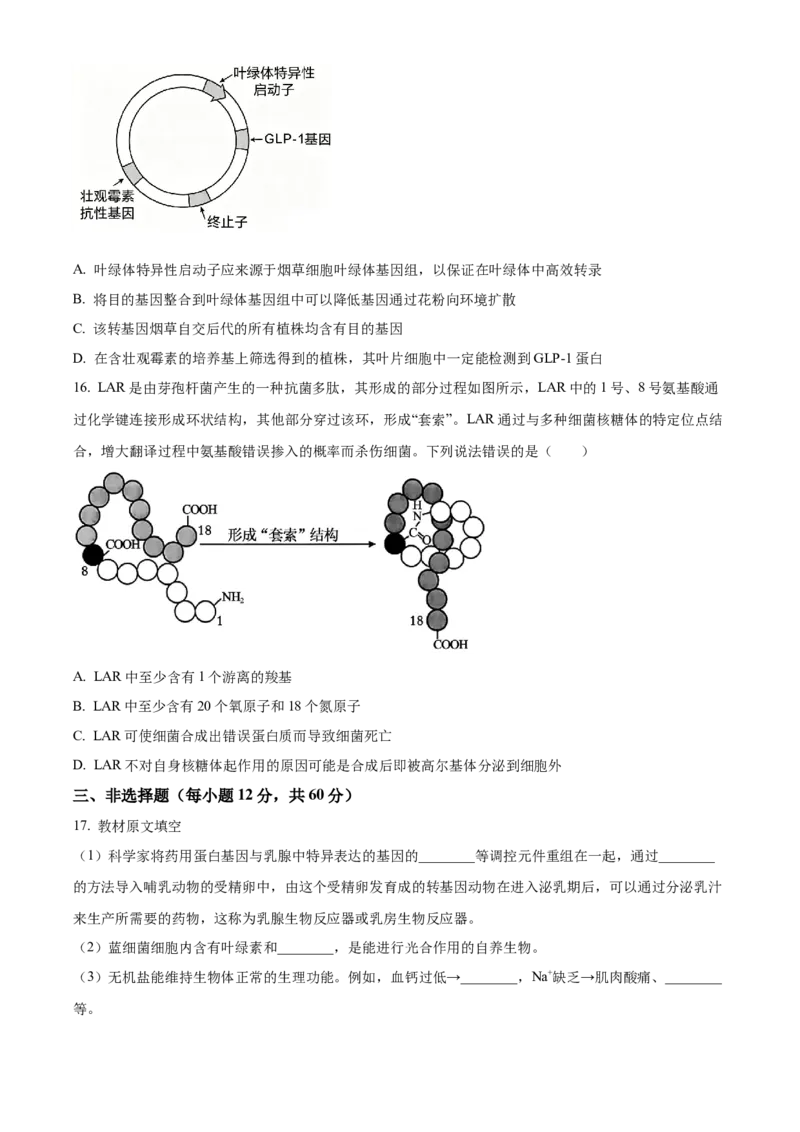 《湖南长沙市雅礼中学2025-2026学年高二下学期期中考试生物试卷（原卷版）_2024-2027高二（7-7月题库）_2026年05月高二试卷_260516湖南省长沙市雅礼中学2025-2026学年高二下学期期中考试（全）》第5页预览