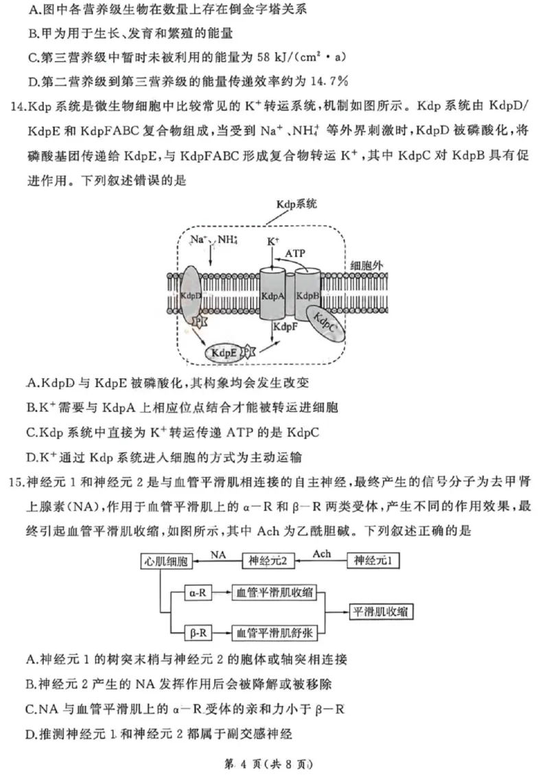 《生物试卷-2026山西高考适应性模拟（4.28-29）_2024-2027高三（6-6月题库）_2026年05月高三试卷_2605022026山西高考适应性模拟考试（全科）》第4页预览