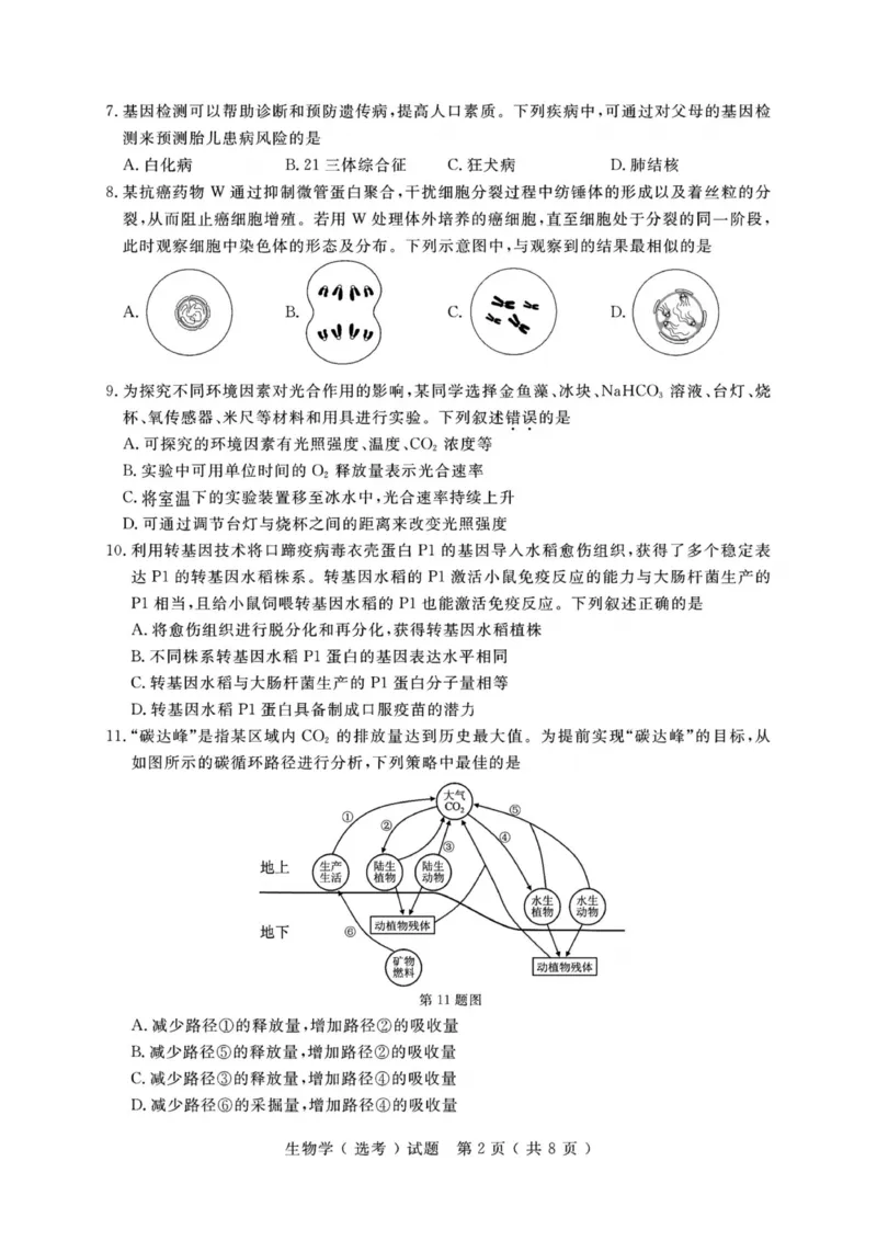 《生物试题-26年1月浙江首考_2-2026年高考全科试卷_2026年1月春季高考浙江_生物（原卷含答案）》第2页预览
