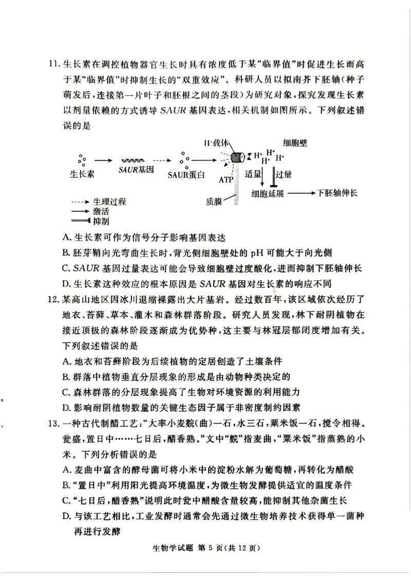 《湘豫名校2026届高三下学期5月预测联考生物_2024-2027高三（6-6月题库）_2026年05月高三试卷_260522河南省湘豫名校2026届高三下学期5月预测联考（全科）》第5页预览