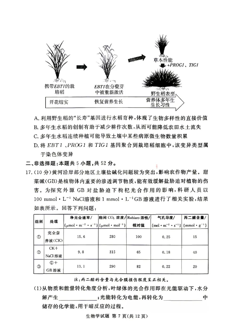 《湘豫名校2026届高三下学期5月预测联考生物_2024-2027高三（6-6月题库）_2026年05月高三试卷_260522河南省湘豫名校2026届高三下学期5月预测联考（全科）》第6页预览