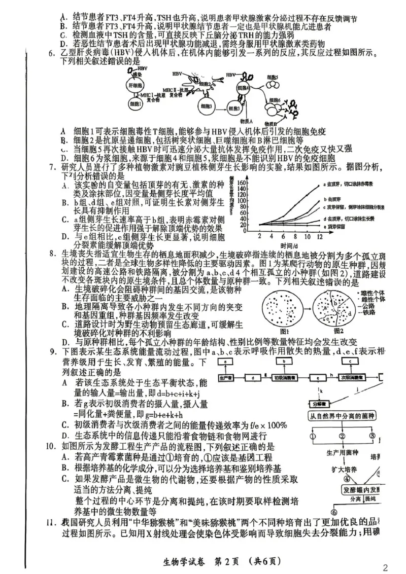 《桂林市2025-2026学年度下学期期末质量检测生物_2024-2027高三（6-6月题库）_2026年05月高三试卷_260513广西省桂林市2025-2026学年度下学期期末质量检测（全科）》第2页预览