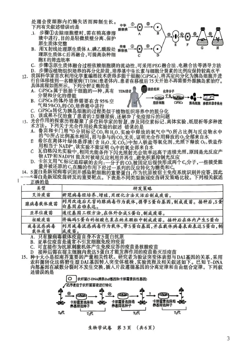 《桂林市2025-2026学年度下学期期末质量检测生物_2024-2027高三（6-6月题库）_2026年05月高三试卷_260513广西省桂林市2025-2026学年度下学期期末质量检测（全科）》第3页预览