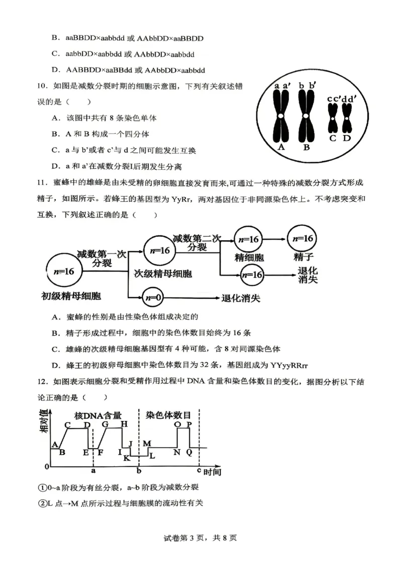 《生物-辽宁沈阳回民中学2025-2026学年高二下4月月考_2024-2027高二（7-7月题库）_2026年04月高二试卷_260417辽宁沈阳回民中学2025-2026学年高二下4月月考》第3页预览