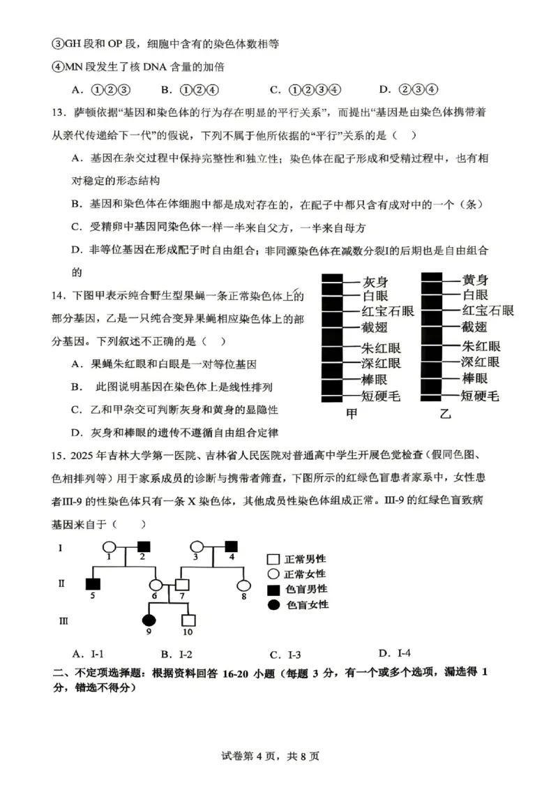 《生物-辽宁沈阳回民中学2025-2026学年高二下4月月考_2024-2027高二（7-7月题库）_2026年04月高二试卷_260417辽宁沈阳回民中学2025-2026学年高二下4月月考》第4页预览
