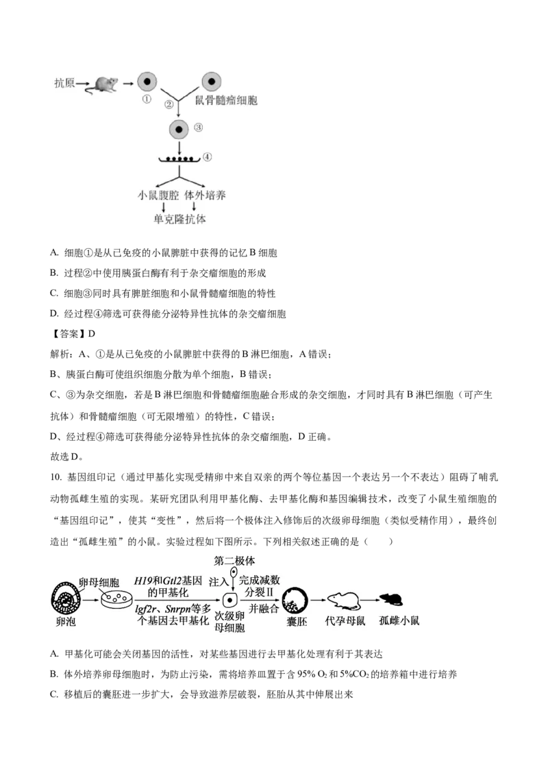 《福建省泉州市四校2025-2026学年高二下学期期中联考试题生物Word版含解析_2024-2027高二（7-7月题库）_2026年06月高二试卷_260623福建省泉州市四校2025-2026学年高二下学期期中联考试题（全）》第6页预览