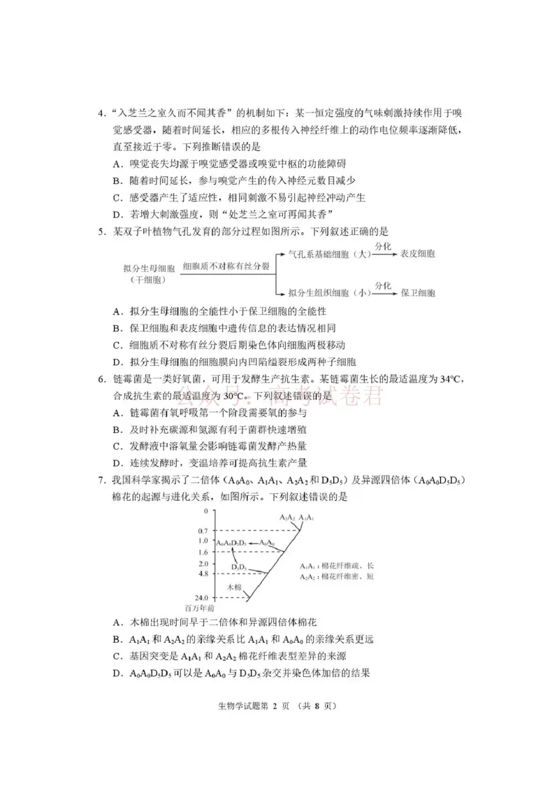 《河南省2026届高三下学期高考适应性考试生物（含答案）_副本_12.2026年4月全国各地高考模拟卷_2026年4月_2026年河南省高三下学期高考适应性考试全科》第2页预览