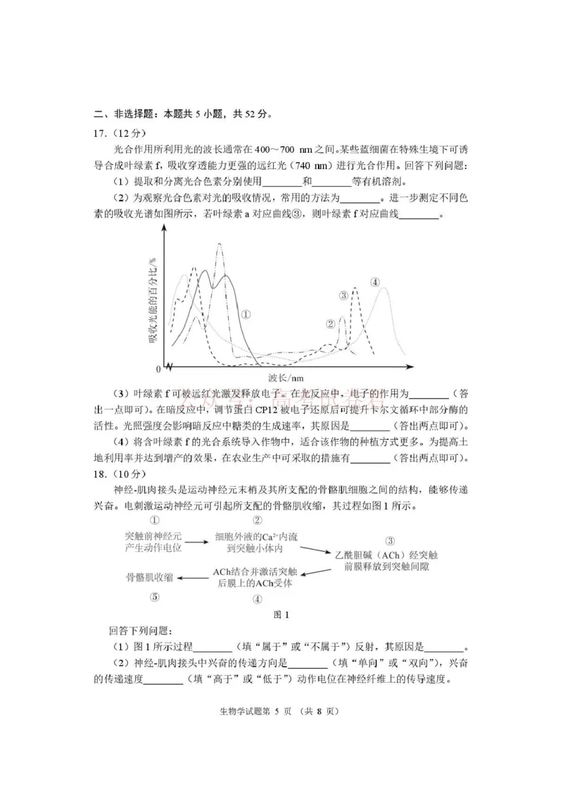 《河南省2026届高三下学期高考适应性考试生物（含答案）_副本_12.2026年4月全国各地高考模拟卷_2026年4月_2026年河南省高三下学期高考适应性考试全科》第5页预览