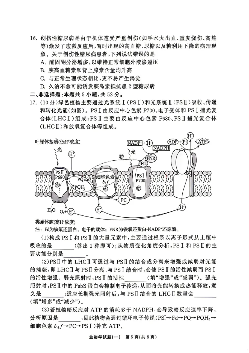 《生物_2024-2027高三（6-6月题库）_2026年05月高三试卷_2605212026年湘豫名校高三大联考河南专版》第5页预览