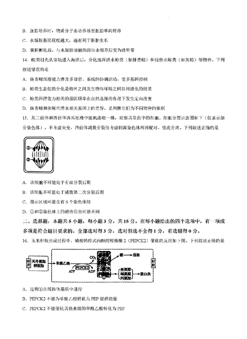 《生物_2026年6月全国高考--_2026年高考真题试卷及答案_2026高考真题（☆超详细版-保真内容和夸克同步）_黑吉辽蒙》第4页预览