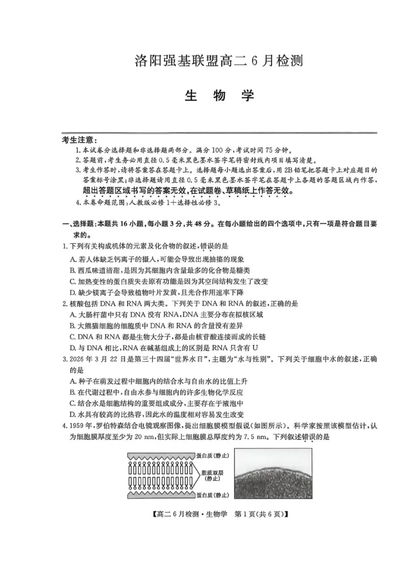 《河南省洛阳市洛阳强基联盟2025-2026学年高二下学期6月阶段测试生物_2024-2027高二(7-7月题库)_2026年06月高二试卷_260615河南省洛阳市强基联盟2025-2026学年高二下学期6月阶段检测(全)》第1页预览