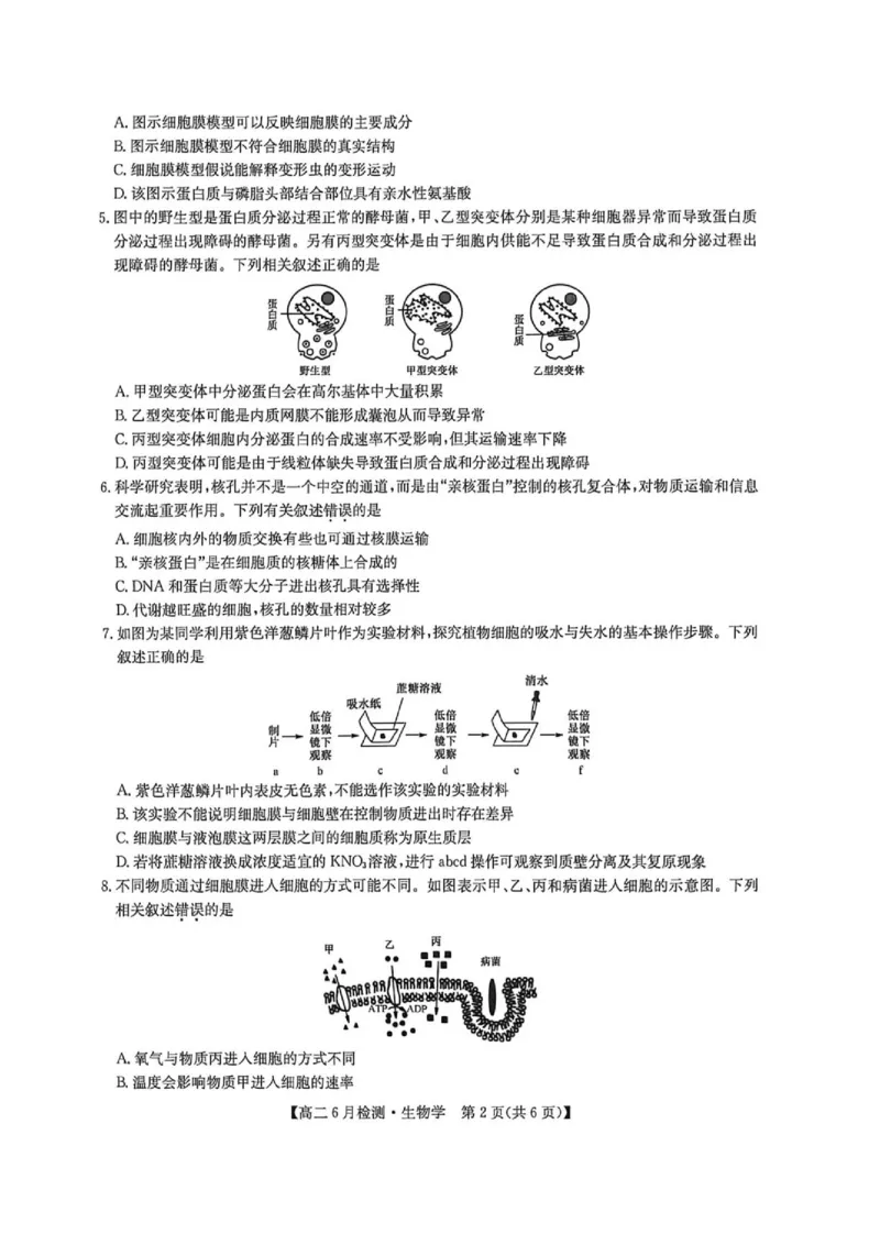 《河南省洛阳市洛阳强基联盟2025-2026学年高二下学期6月阶段测试生物_2024-2027高二(7-7月题库)_2026年06月高二试卷_260615河南省洛阳市强基联盟2025-2026学年高二下学期6月阶段检测(全)》第2页预览