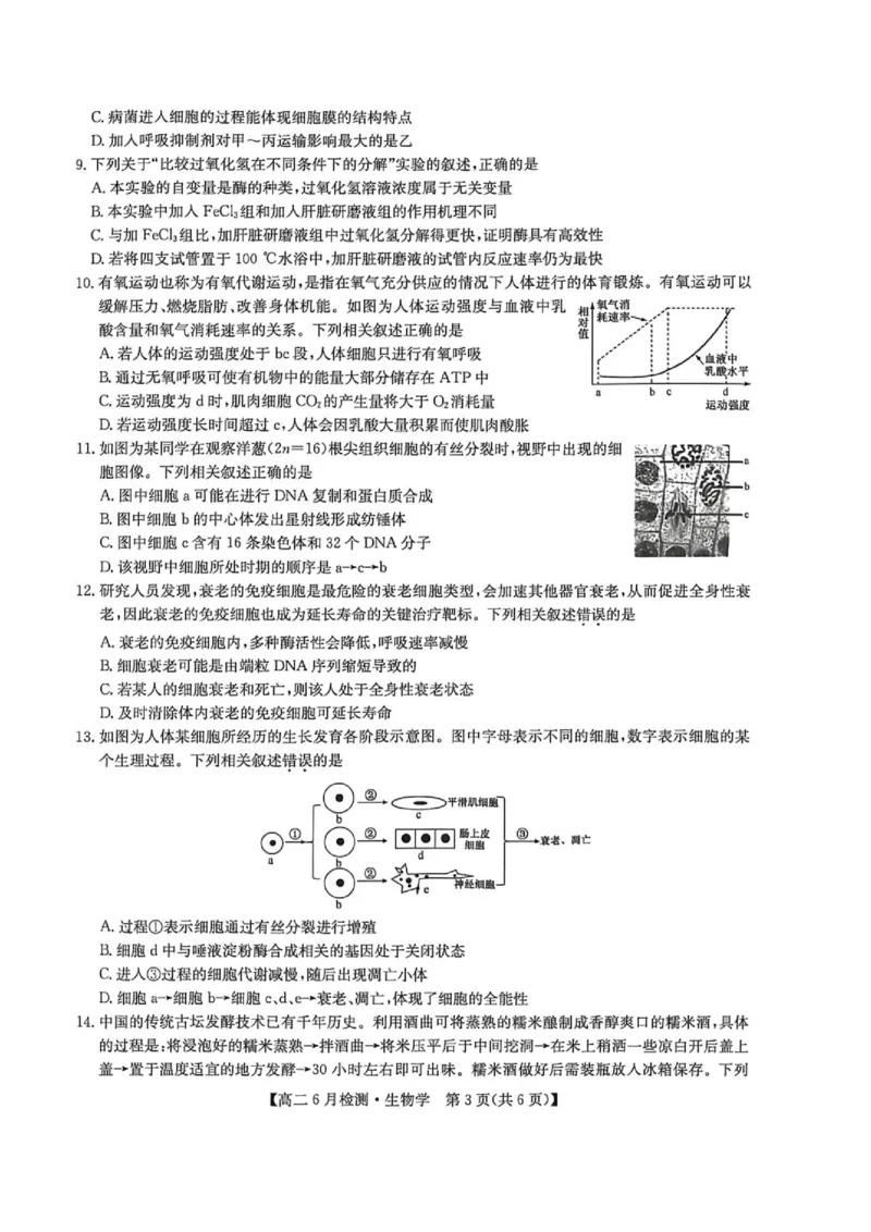《河南省洛阳市洛阳强基联盟2025-2026学年高二下学期6月阶段测试生物_2024-2027高二(7-7月题库)_2026年06月高二试卷_260615河南省洛阳市强基联盟2025-2026学年高二下学期6月阶段检测(全)》第3页预览