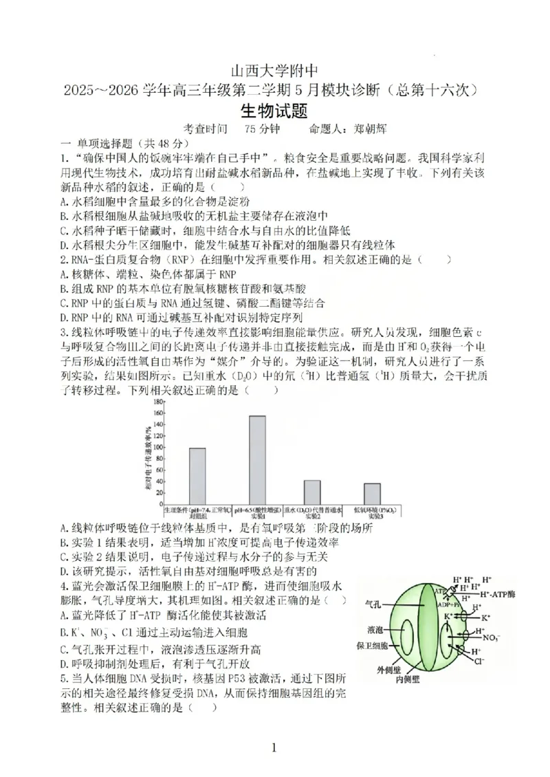 《生物试题_山大附中2026届第二学期高三5月（第十六次）模块诊断_2024-2027高三（6-6月题库）_2026年05月高三试卷》第1页预览