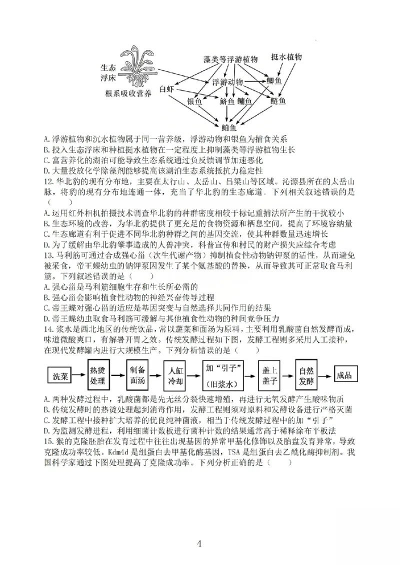《生物试题_山大附中2026届第二学期高三5月（第十六次）模块诊断_2024-2027高三（6-6月题库）_2026年05月高三试卷》第4页预览