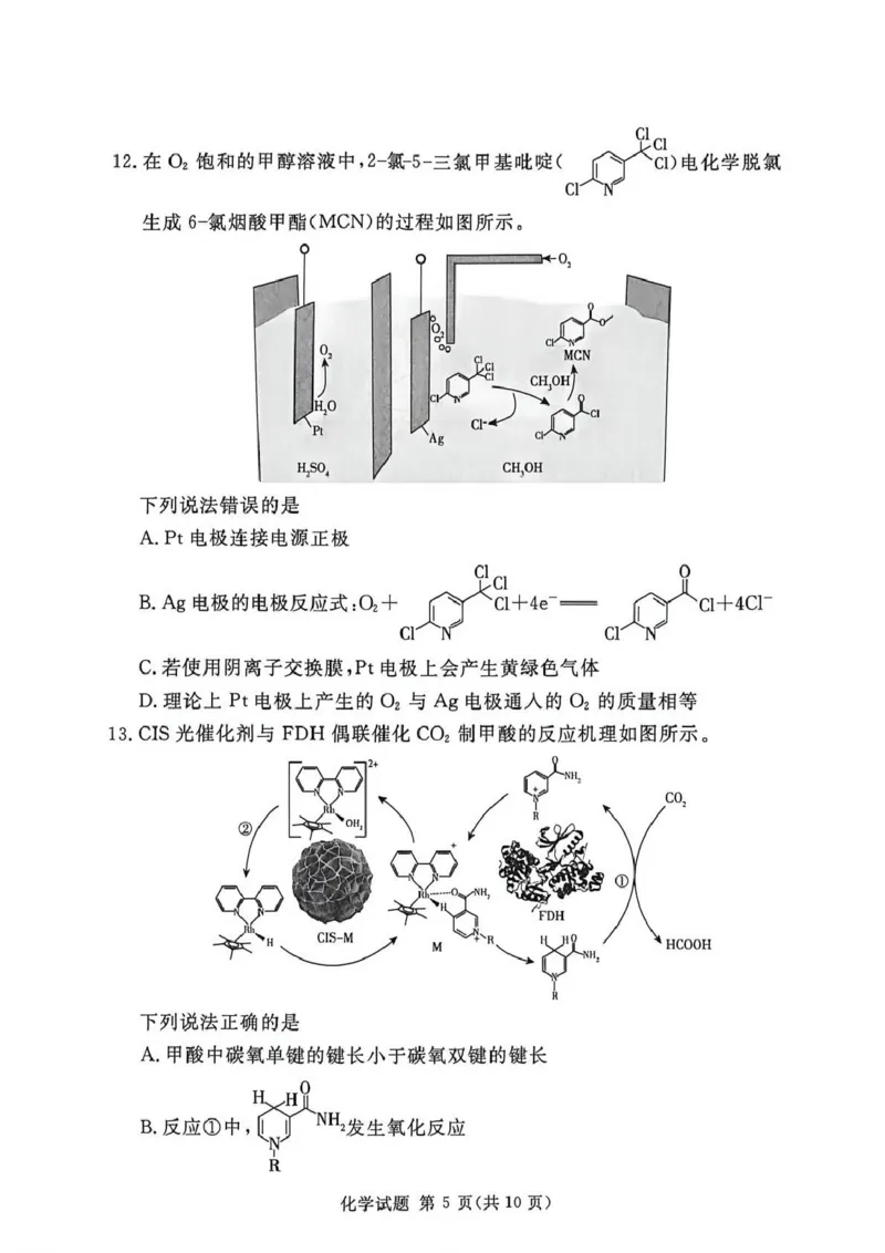 《湘豫名校2026届高三下学期5月预测联考化学_2024-2027高三（6-6月题库）_2026年05月高三试卷_260522河南省湘豫名校2026届高三下学期5月预测联考（全科）》第5页预览