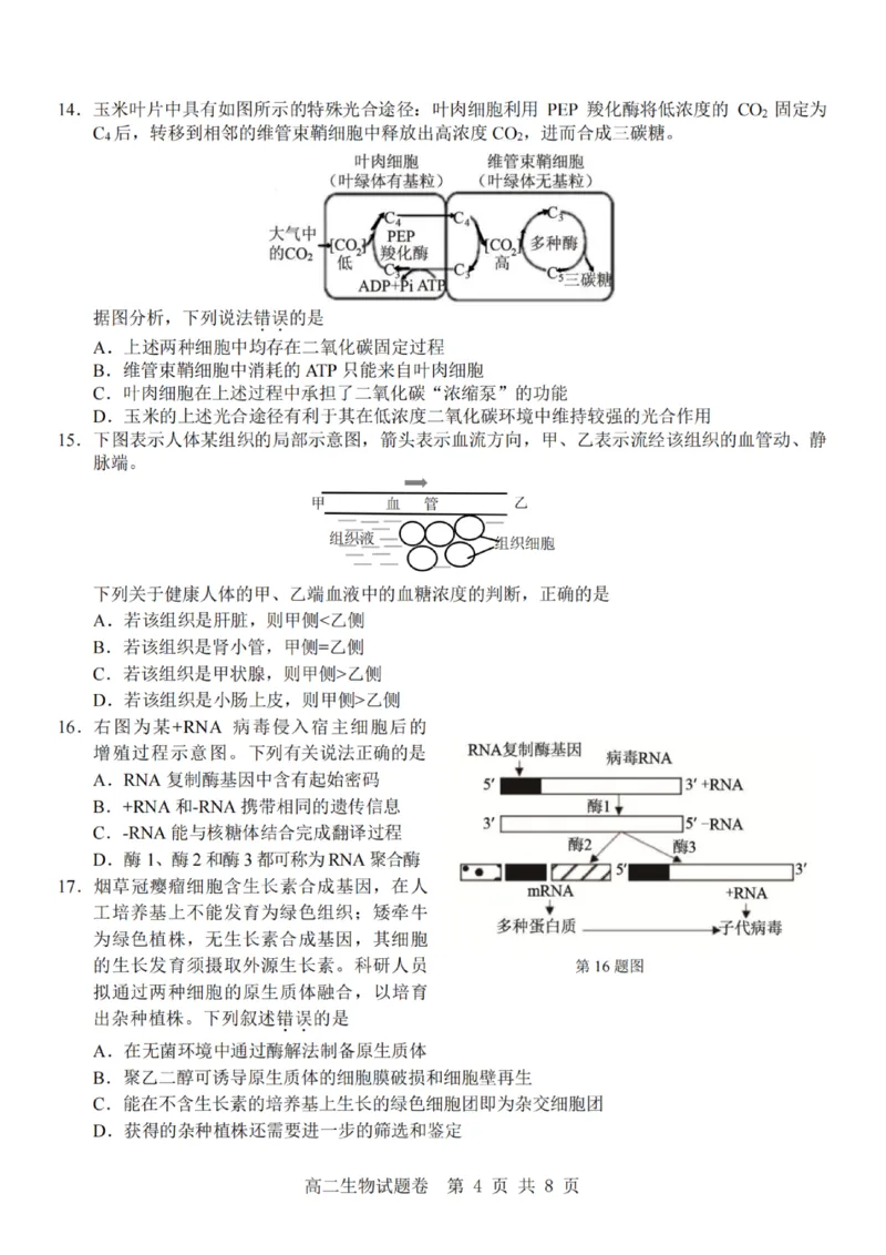 《生物试题卷_2024-2027高二（7-7月题库）_2026年04月高二试卷_260426杭州地区(含周边)重点中学2025学年高二第二学期期中联考（全科）》第4页预览