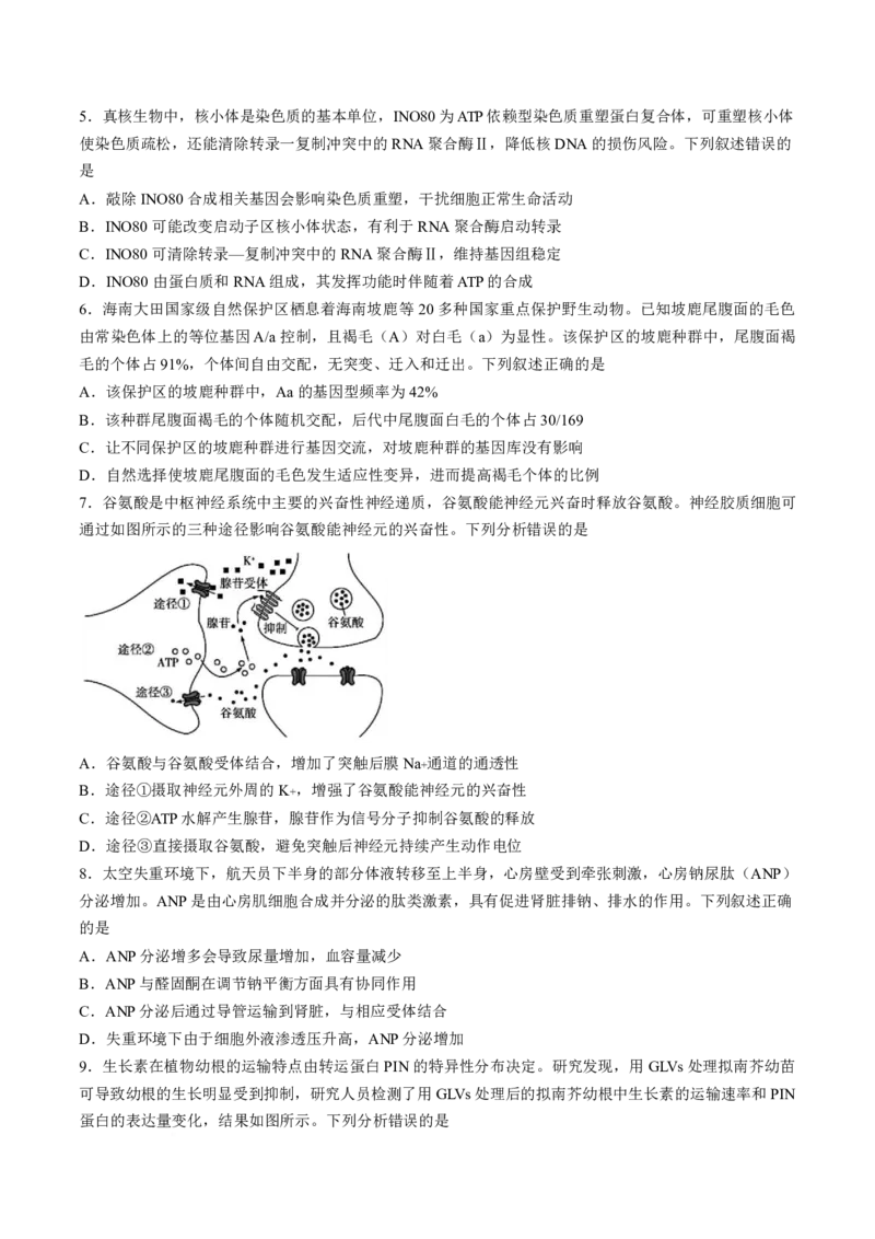 《湖南省衡阳市耒阳市第二中学2025-2026学年高二下学期5月期中考试生物试卷(扫描版含答案)_2024-2027高二（7-7月题库）_2026年05月高二试卷》第2页预览