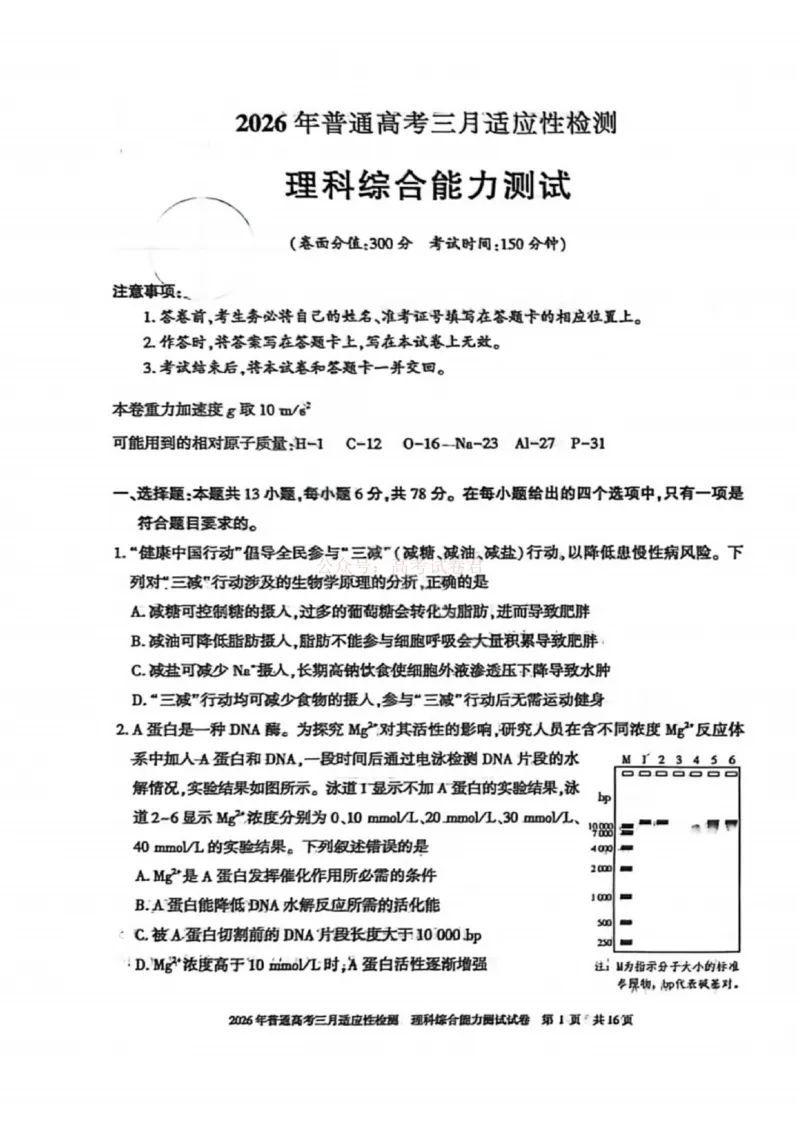 《理科综合-2026年新疆普通高考三月适应性检测试卷（含答案）_12.2026年4月全国各地高考模拟卷_2026届新疆高考三月适应性检测_综合·2026届新疆高考三月适应性检测》第1页预览