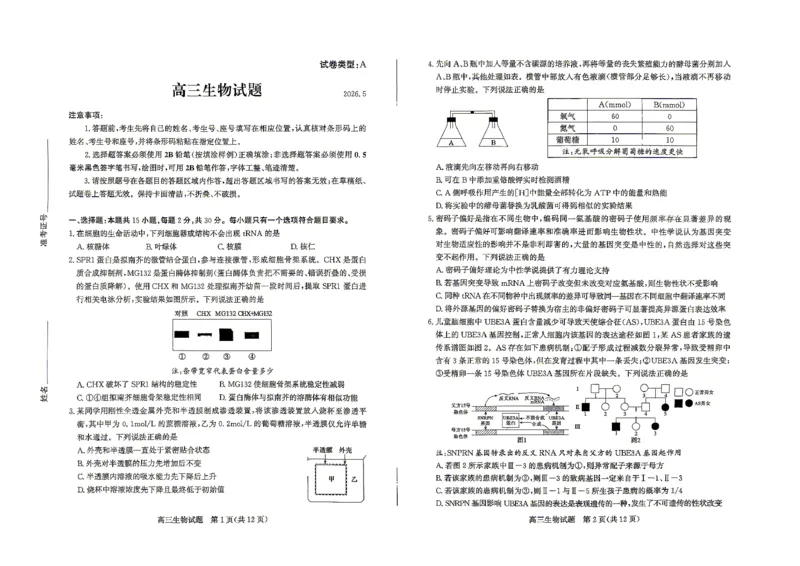 《滨州市2026年高三下学期二模考试生物_2024-2027高三（6-6月题库）_2026年05月高三试卷_260515山东省滨州市2026年高三下学期二模考试（滨州二模）（全科）》第1页预览