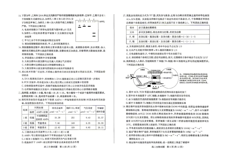《滨州市2026年高三下学期二模考试生物_2024-2027高三（6-6月题库）_2026年05月高三试卷_260515山东省滨州市2026年高三下学期二模考试（滨州二模）（全科）》第3页预览