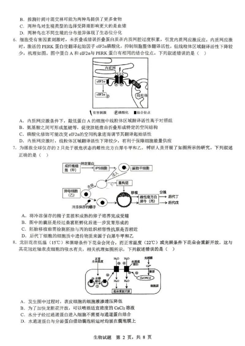 《生物试题卷_2024-2027高三（6-6月题库）_2026年05月高三试卷_260507重庆市育才中学高2026届高三年级（下）高考模拟考试（一）(全科）》第2页预览