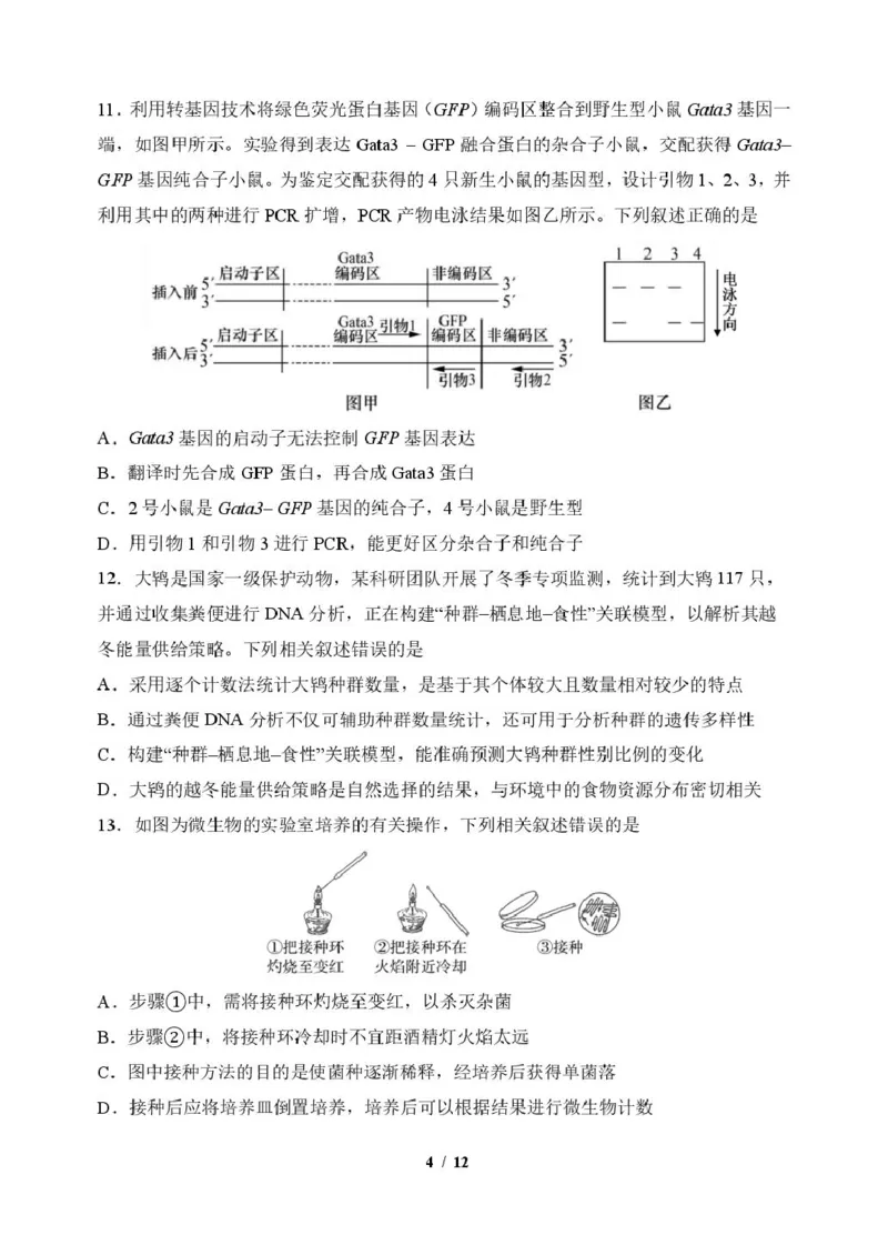《生物6生物学科试题_2024-2027高三（6-6月题库）_2026年06月高三试卷_260601吉林东北师范大学附属中学2026届高三5月考前模拟考试（全科）》第4页预览