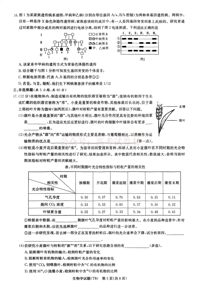 《湖南师大附中2026届高三4月高考模拟考试（一）生物_12.2026年4月全国各地高考模拟卷_2026年4月_湖南师大附中模拟卷一2026年湖南师范大学附属中学高三模拟卷(一)全科》第5页预览