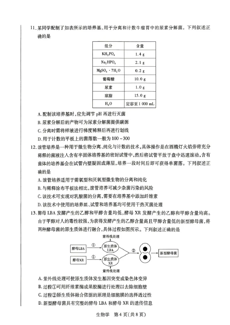 《河南省濮阳市2025-2026学年高二下学期6月考试生物试题(扫描版无答案)(1)_2024-2027高二（7-7月题库）_2026年06月高二试卷_260611河南天一大联考2025-2026学年高二下学期6月期末》第4页预览