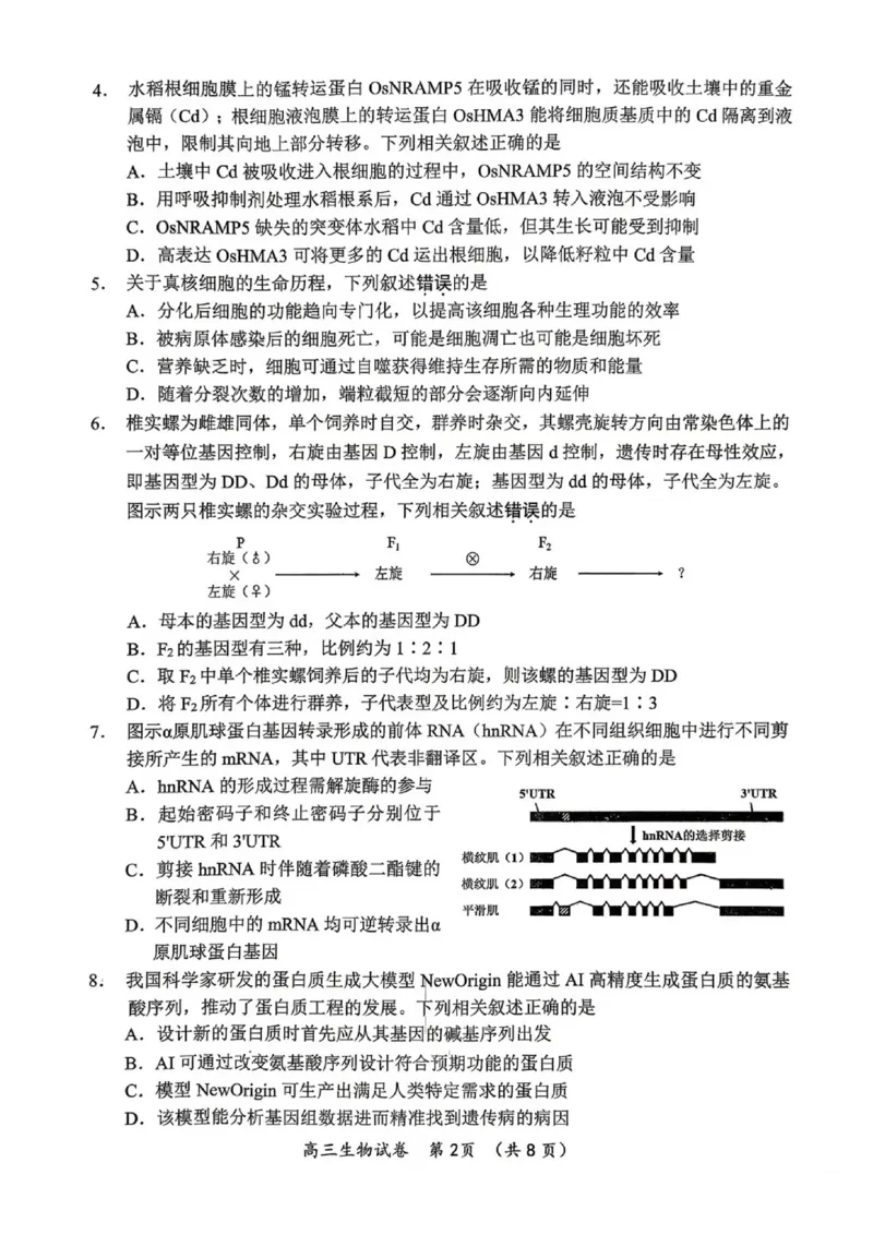 《生物试题+答案苏锡常镇四市2026届高三下学期5月教学情况调研（二）_2024-2027高三（6-6月题库）_2026年05月高三试卷_260507苏锡常镇四市2026届高三下学期5月教学情况调研（二）（全科）》第2页预览